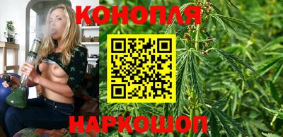 СК Сланцы