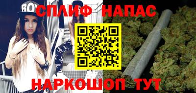 СК Сланцы