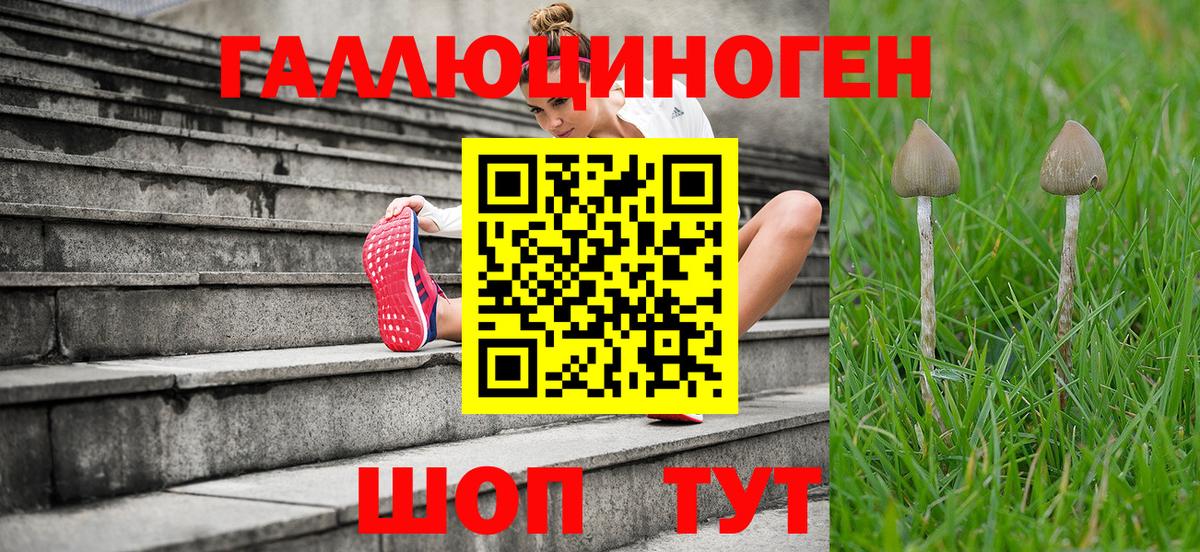 Галлюциногенные грибы MAGIC MUSHROOMS Санкт-Петербург