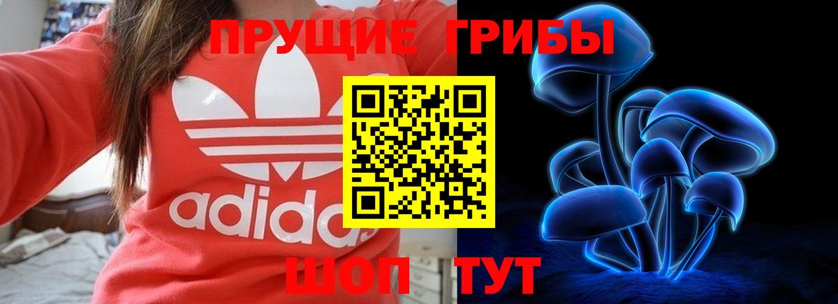 Санкт-Петербург  Галлюциногенные грибы MAGIC MUSHROOMS  Вход с VPN  Псилоцибиновые грибы Magic Shrooms 